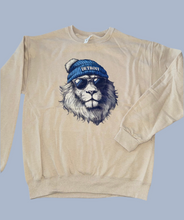 Load image into Gallery viewer, Detroit Lions Adult Graphic Sweatshirt
