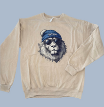 Load image into Gallery viewer, Detroit Lions Adult Graphic Sweatshirt
